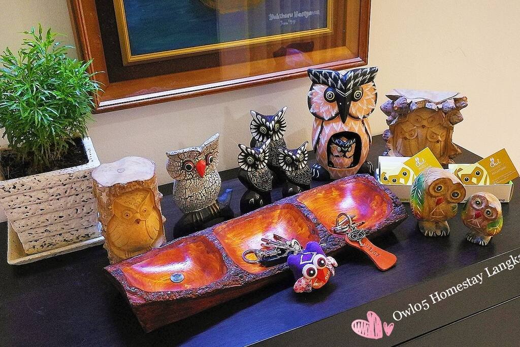 Owl Collection