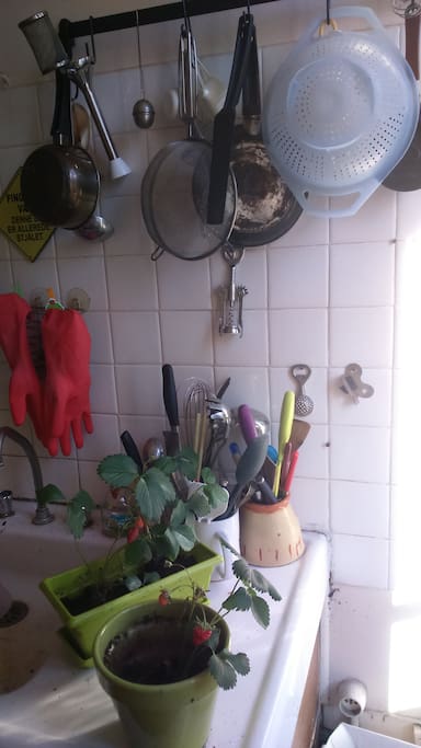 Fully equiped kitchen, strawberries included depending on the season :)
