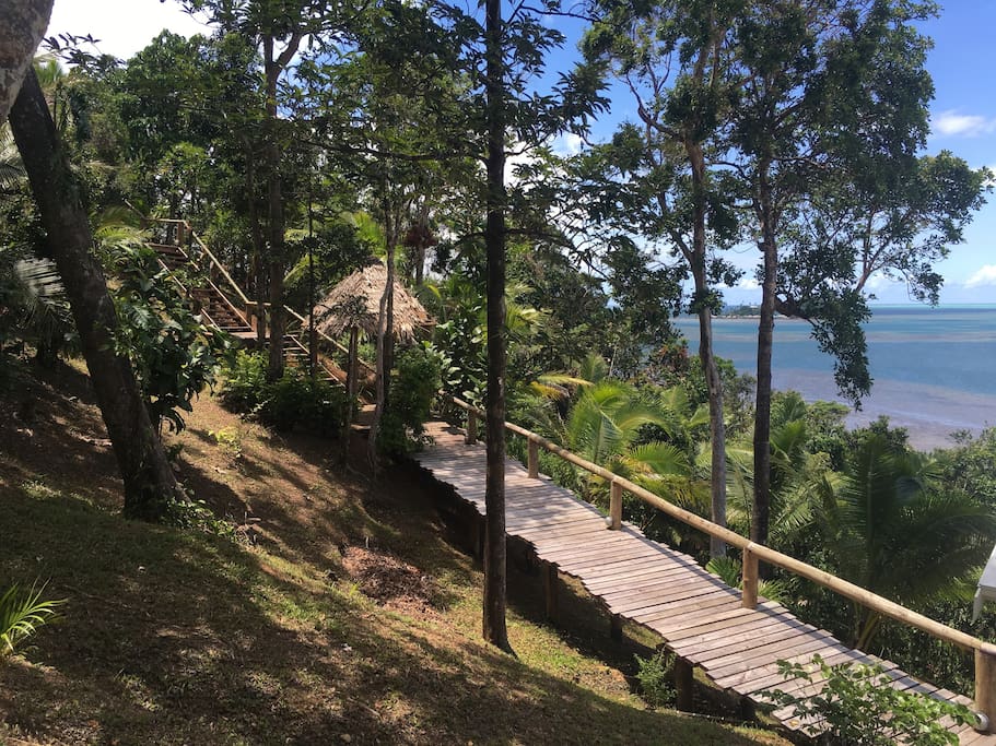 Walkway to the house