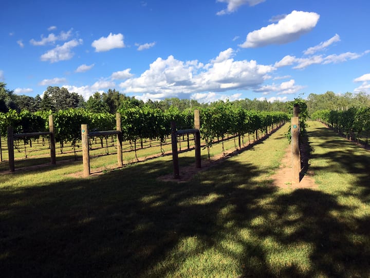 Cambridge Vacation Rentals & Homes Minnesota, United States Airbnb