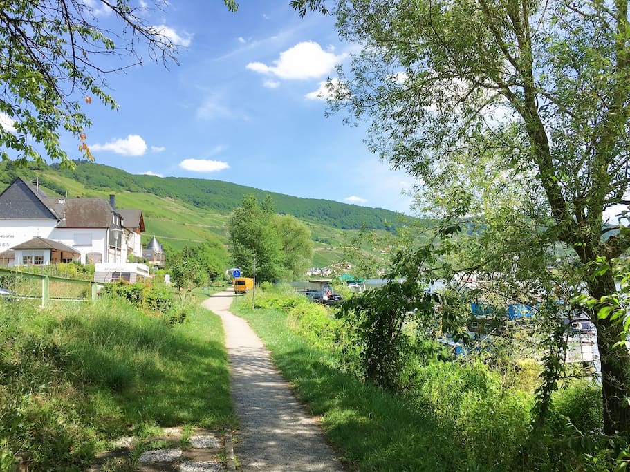 Moselradweg und Moselpromenade vor Ferienhaus Moselgasse in Zell (Merl), Hauptstraße 45
