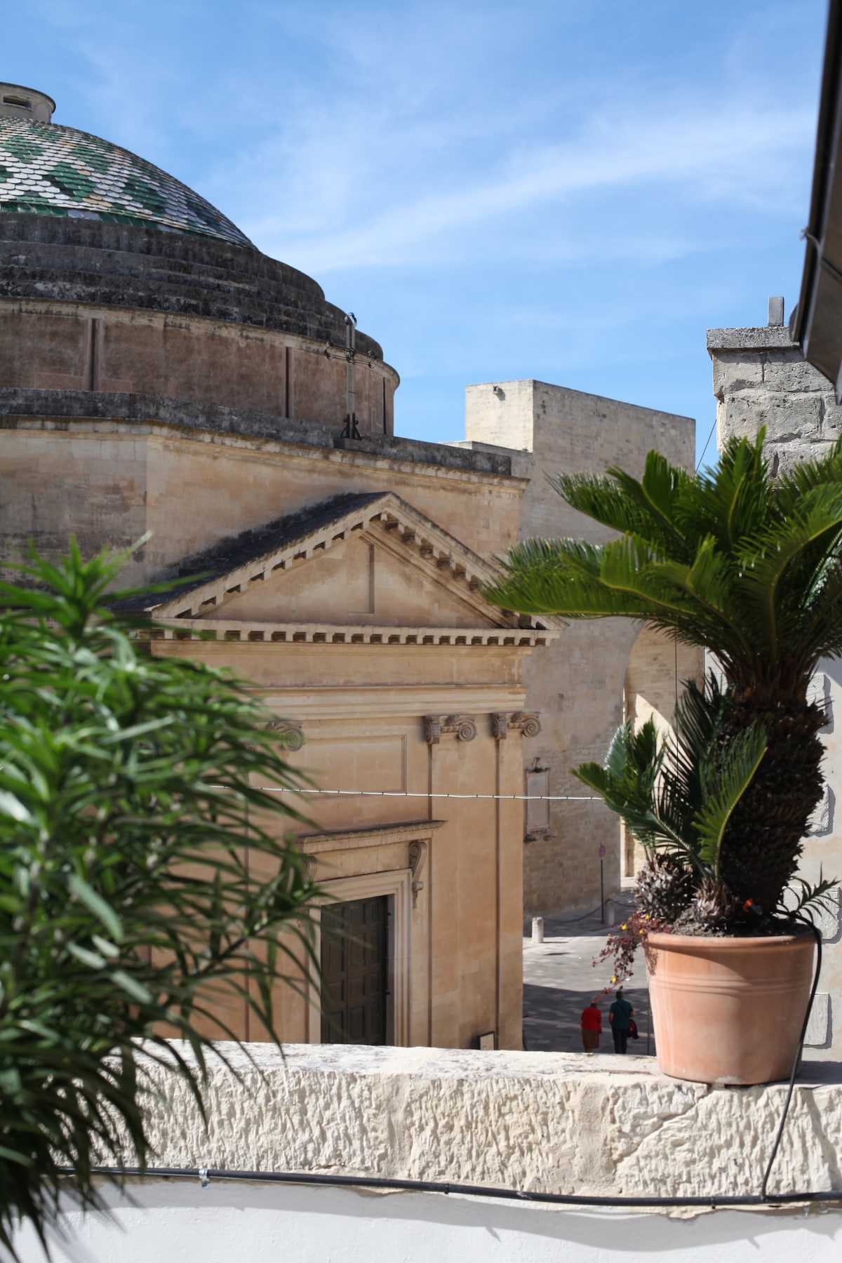 The image captures a view from a terrace, featuring a leafy potted palm in the foreground. In the background, a beautifully structured historic building with a dome and intricate architectural details is visible against a clear blue sky.