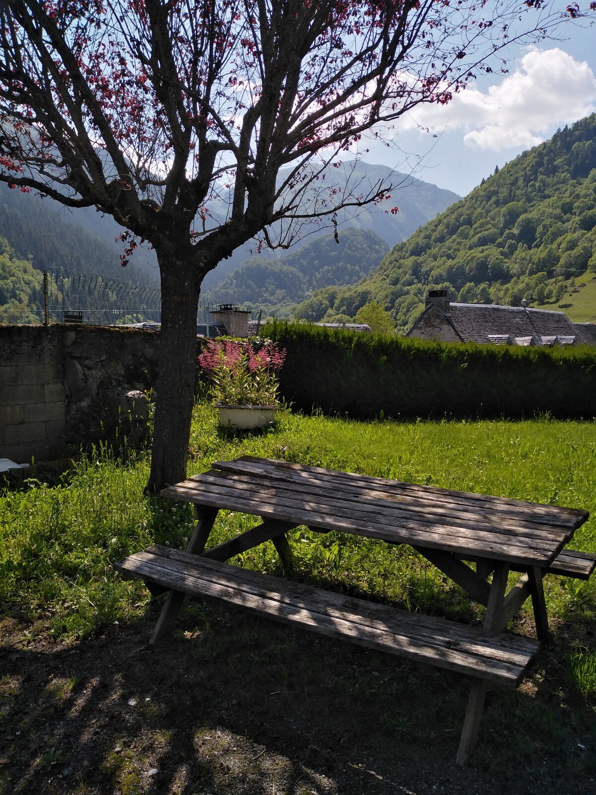 A wooden picnic table is set under a flowering tree, surrounded by lush green grass. The background features rolling hills, partially obscured by trees, creating a serene outdoor space ideal for relaxation. Sunlight filters through the leaves, enhancing the peaceful atmosphere.
