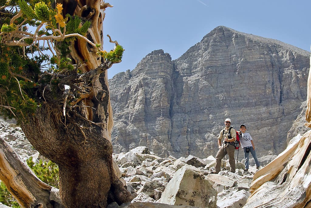 We are located two miles south of Baker, Nevada seven miles to the main entrance to Great Basin National Park.