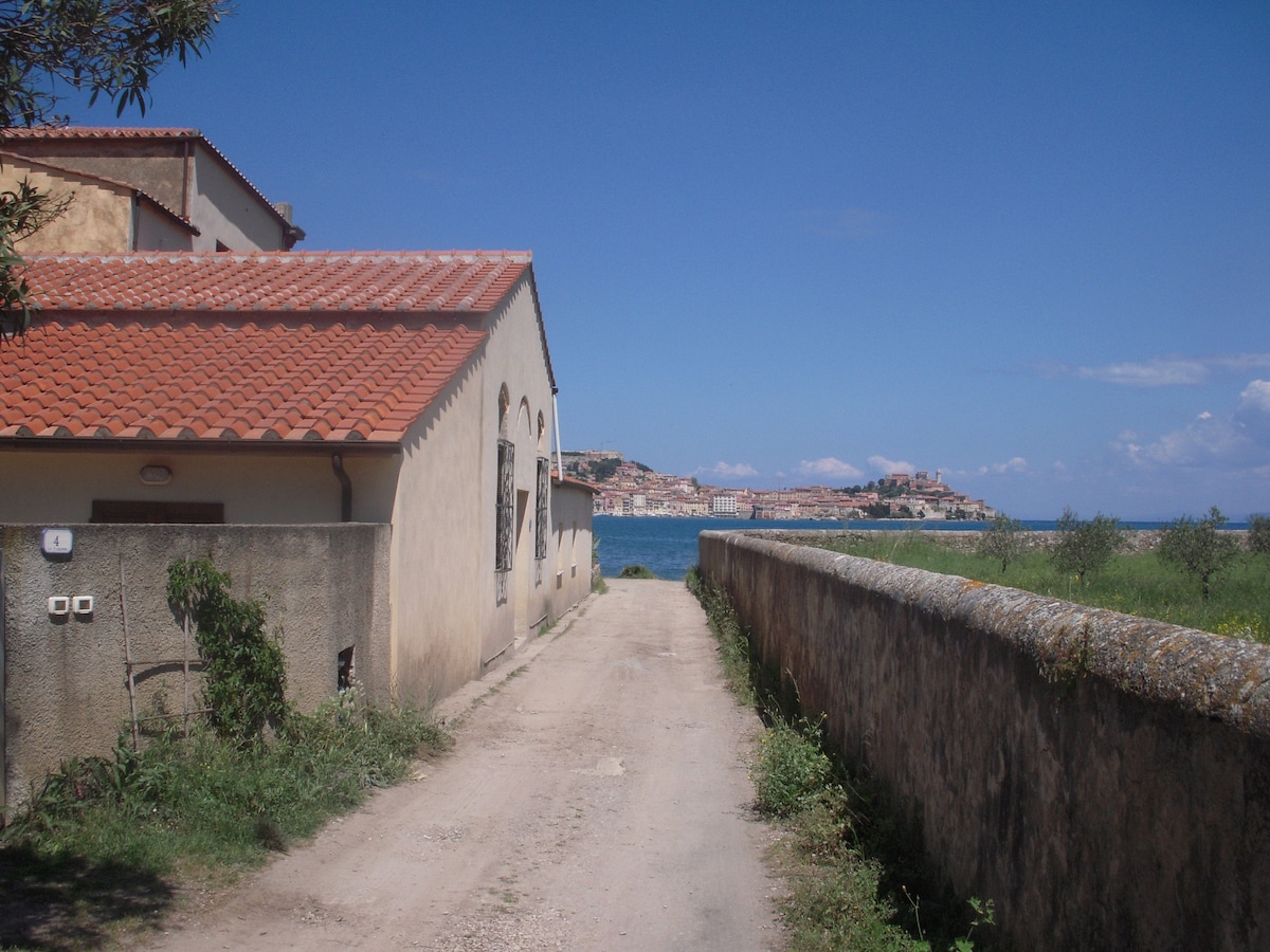 The image captures a serene pathway leading toward the water, flanked by a stone wall and a building with a tiled roof. In the distance, the skyline of Portoferraio reveals the charming layout of the city, enhanced by a clear blue sky and calm waters.