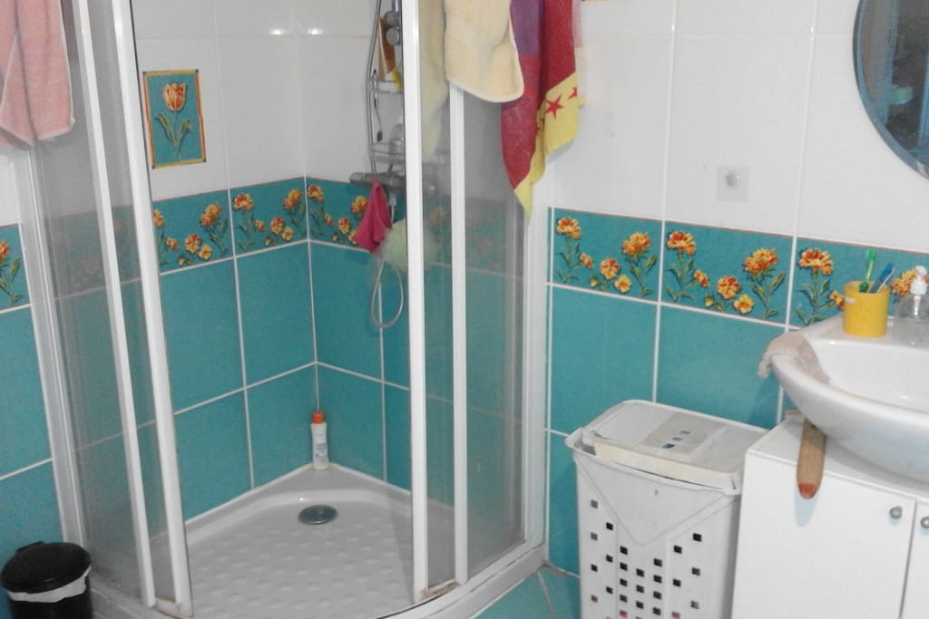 Seconde douche en plus de la baignoire