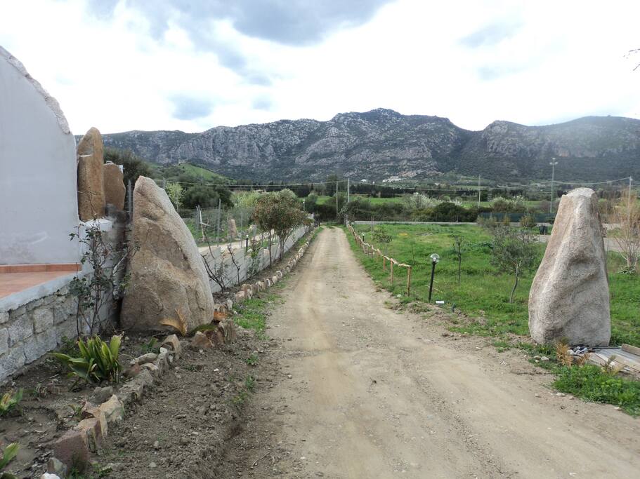 vialetto d'accesso