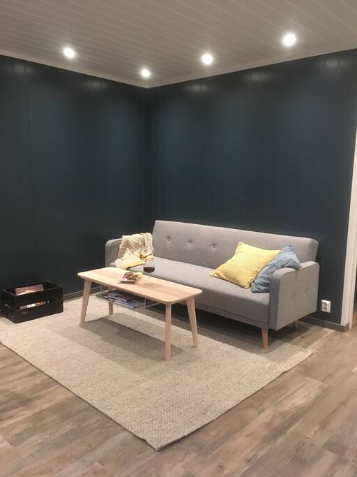 Sleeping sofa in normal