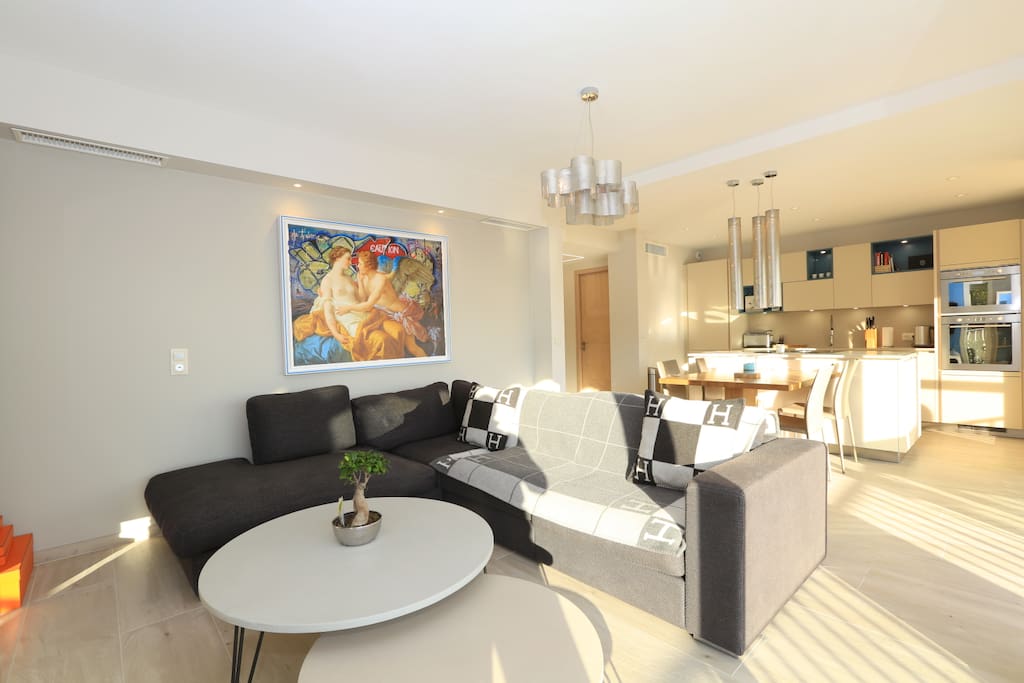 salon + cuisine / living room + kitchen