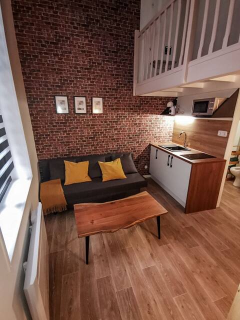 Studio cosy en plein cœur du vieux Lille