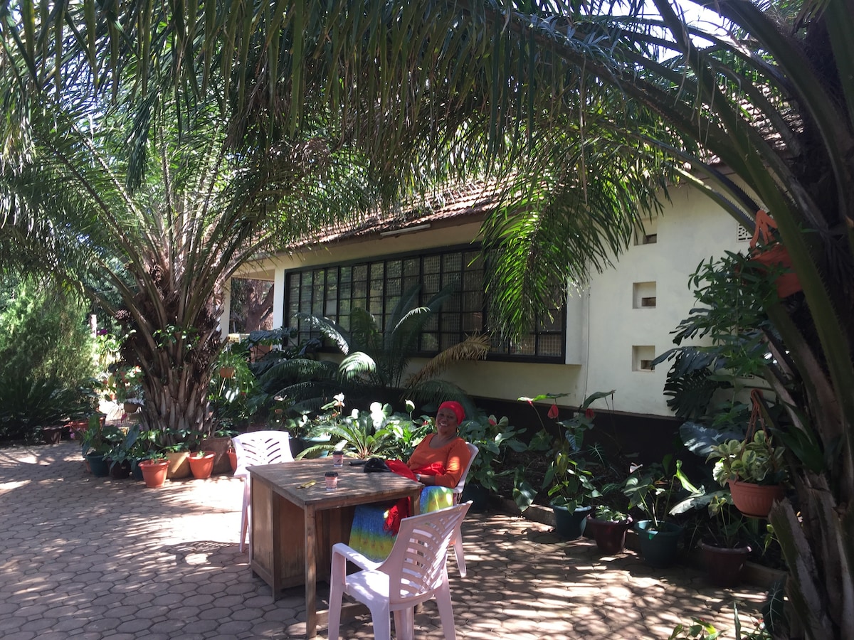 A sunlit garden area features a wooden table surrounded by colorful potted plants. Large palm trees provide shade, while a cozy seating area invites relaxation. The adjacent house is visible, showcasing large windows that allow natural light to filter through the greenery.