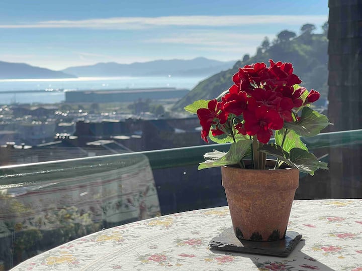 Penthouse With Sf Nightlights, Easy Access & Gym! - Tiburon, CA
