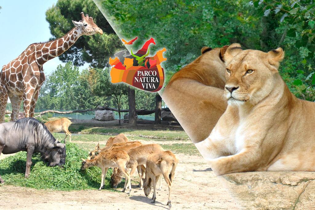 parco natura viva a 7km