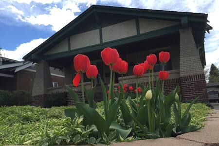 Cozy Craftsman Bungalow near City Center