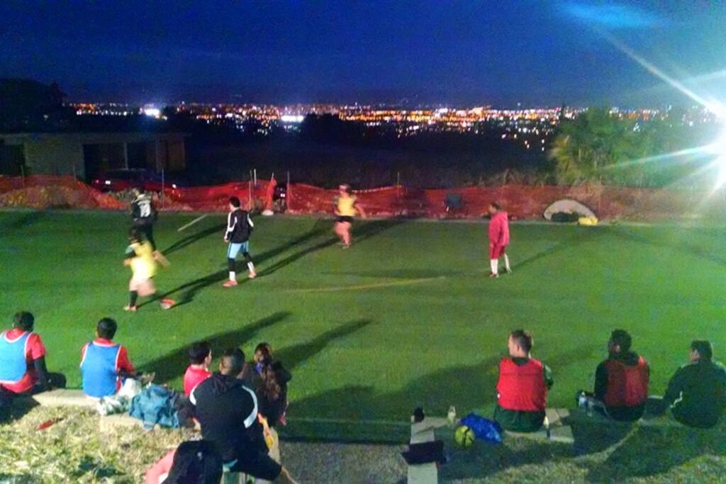Synthetic Playing Surface for any type of event.