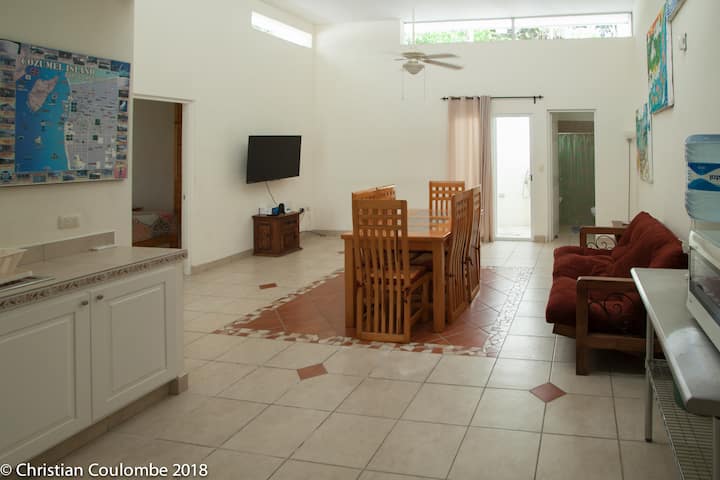Great Location In The Heart Of Cozumel - Cozumel