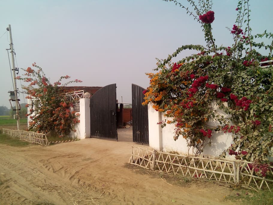 Gate
