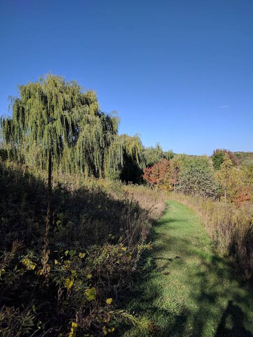 Trail on Property