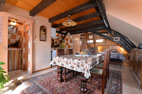 Popular Airbnb listing: Old Tilleul Gite in Bergheim in Haut Rhin