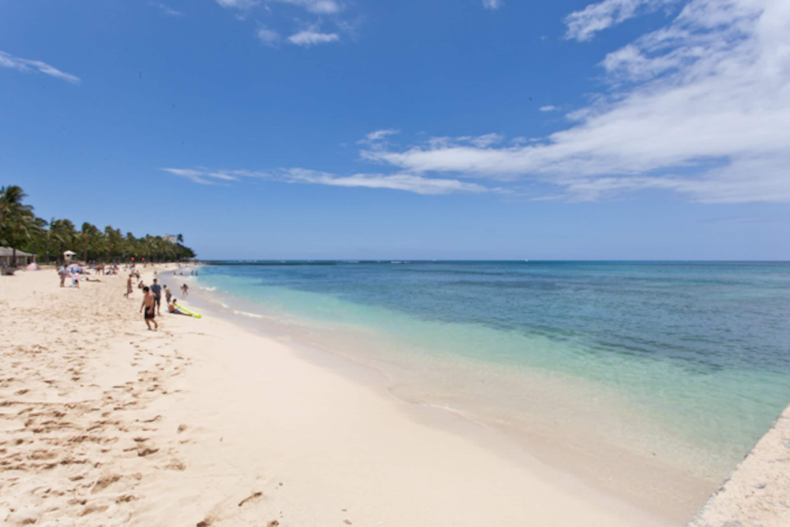 Condo in Honolulu · ★4.55 · 1 bedroom · 2 beds · 1 bath - Image 15