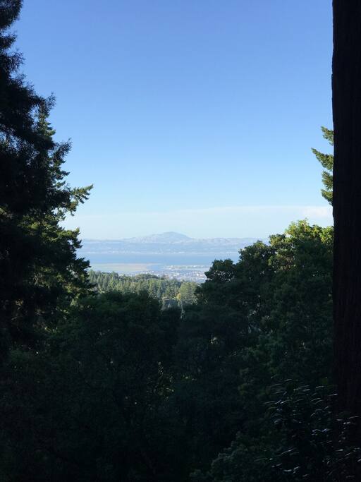 View of Bay and Mt Diablo from deck (not usually this foggy)