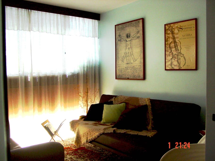 Sala con sofá y sofá-cama