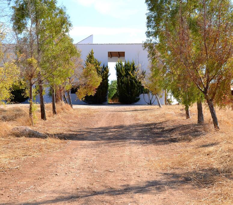 Entrance
