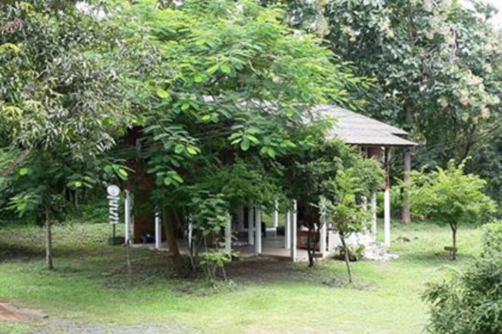 In Rainy Season
