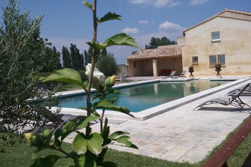 La piscine à partager, 15m de long sur 7m de large, vous aurez de quoi vous rafraîchir.