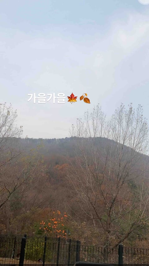 Healing Mountain View Stay (meditation, escape from daily life) Best for 2 nights