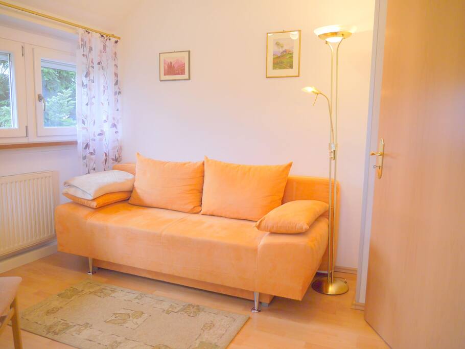 Schlafsofa im Wohnzimmer