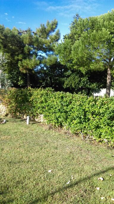 Giardino