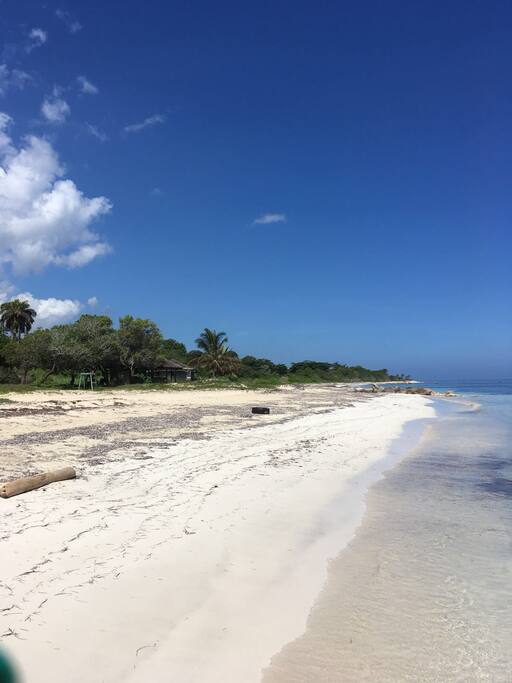 Beach area