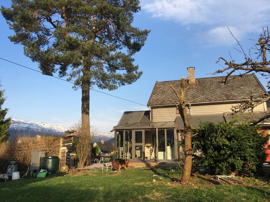 House from garden