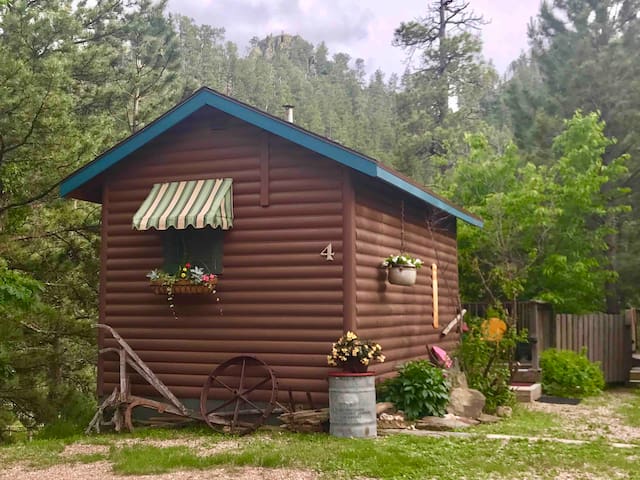 Hill top Cabin.