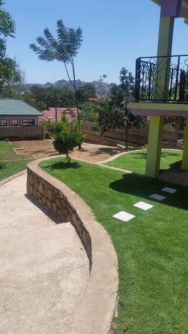 Our garden view