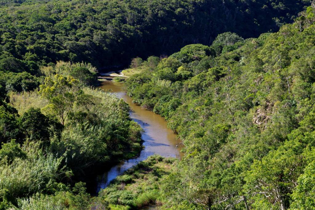 The islet where the buck like to drink