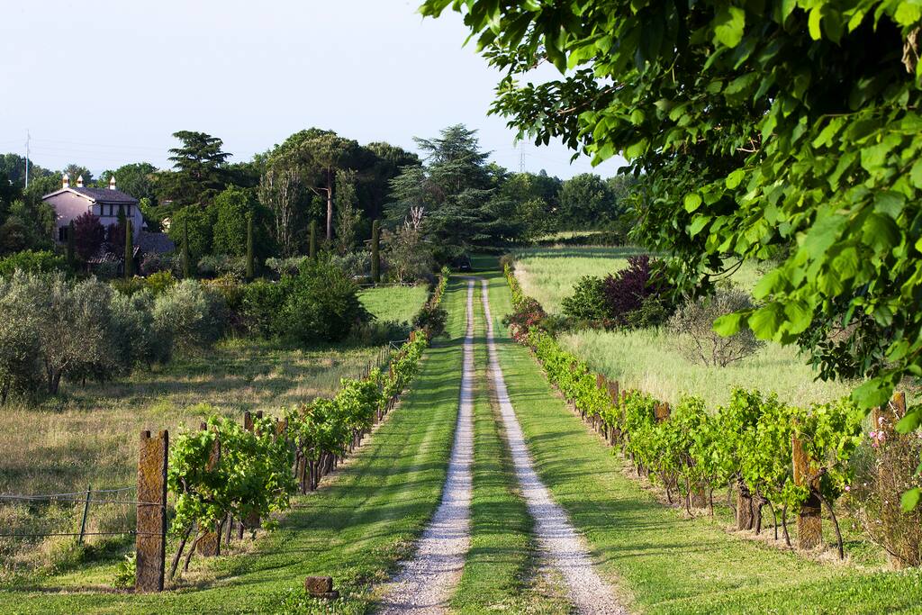 La campagna