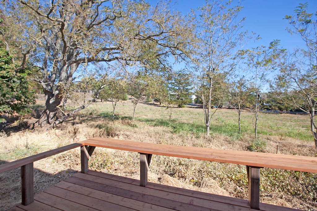 Back deck North view