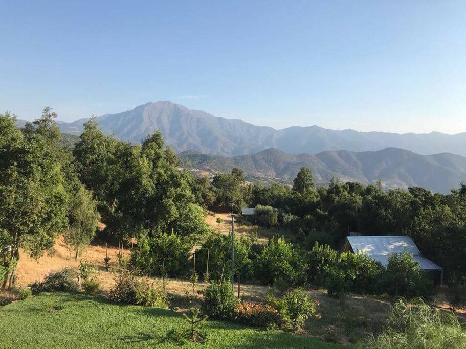 vista desde arriba, la cabaña se observa al medio de la foto hacia abajo