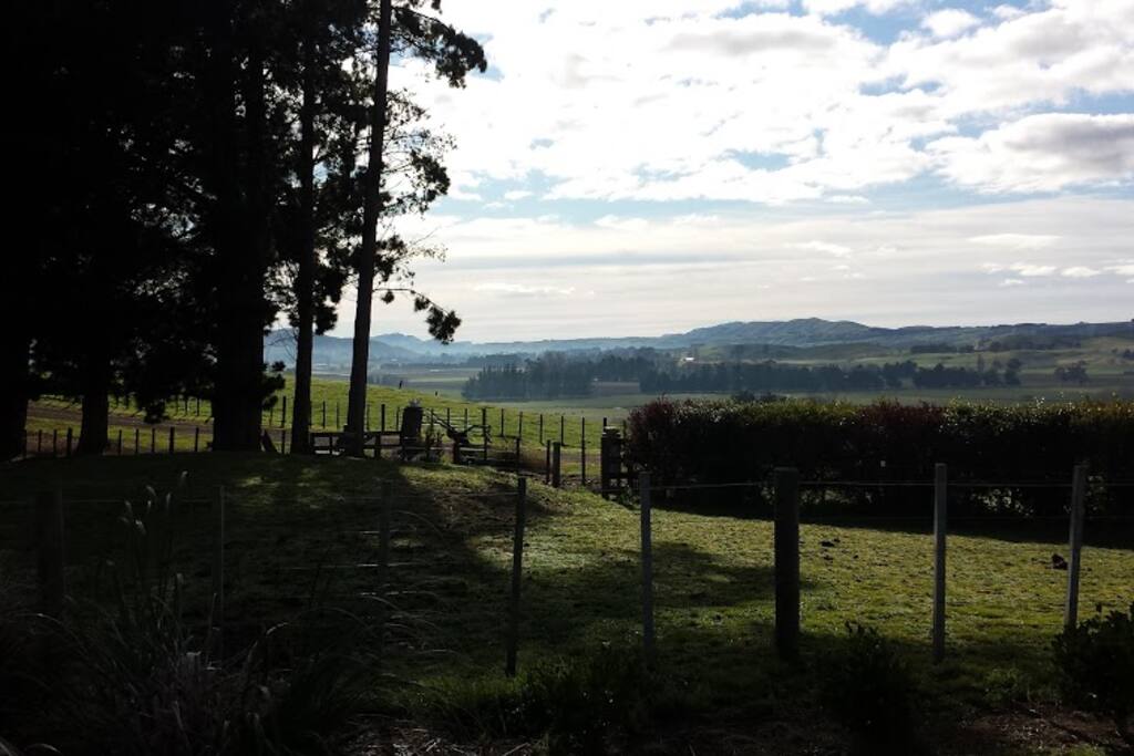 View from the house