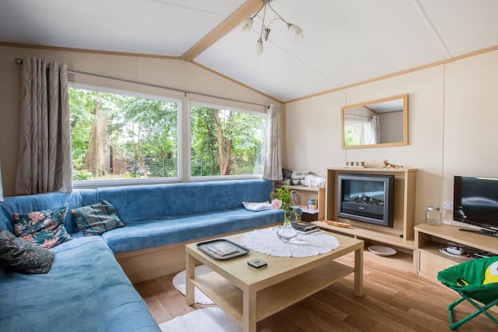 Cottage under the beech