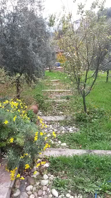 Footpath to house