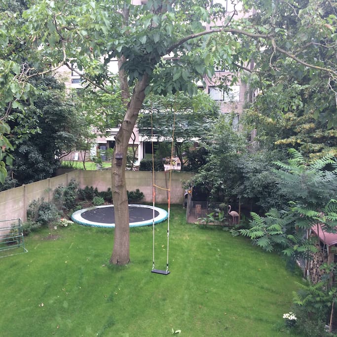 Our beautiful garden