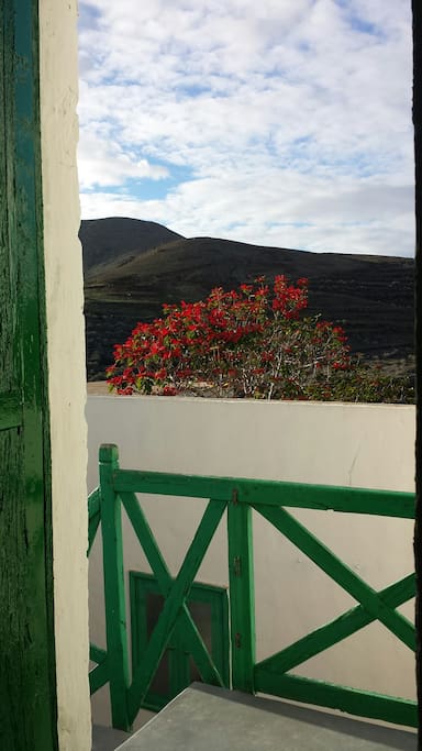 La tranquilidad que trasmite ver este paisaje inusual.