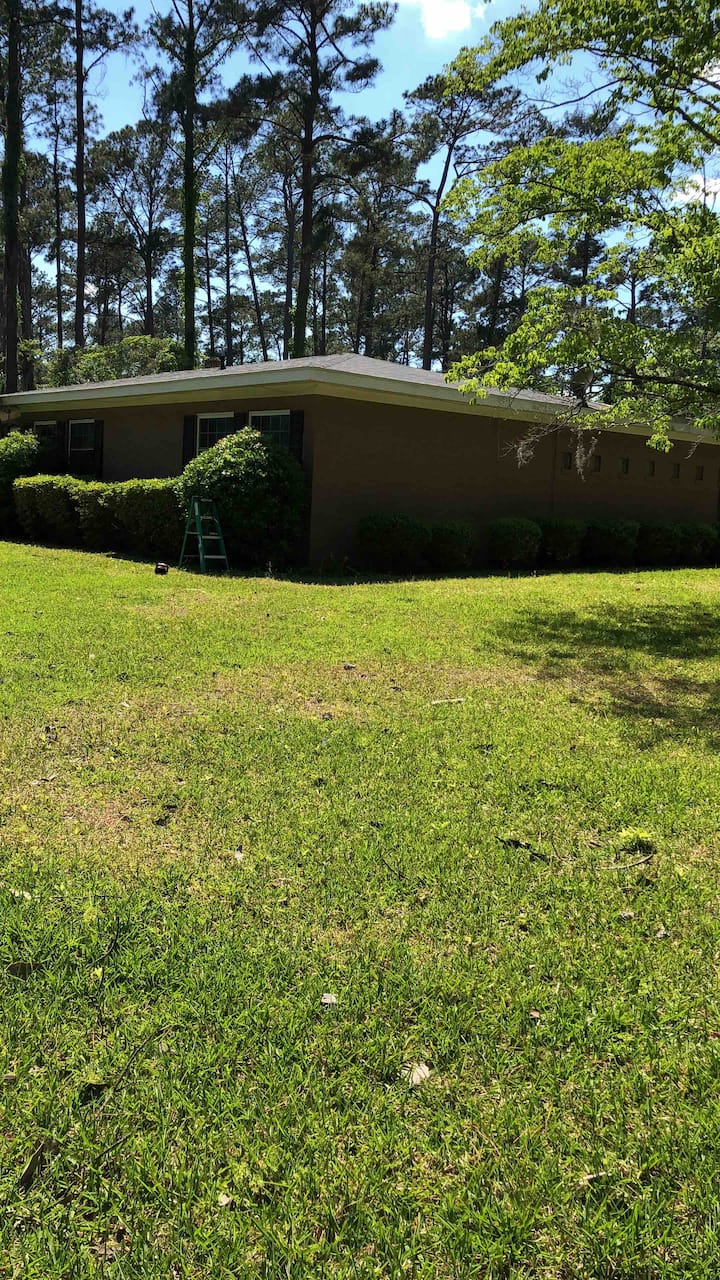 12 Best Airbnb Vacation Rentals In Albany, Updated 2024 Trip101