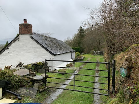 The cosy cottage - Clydfan