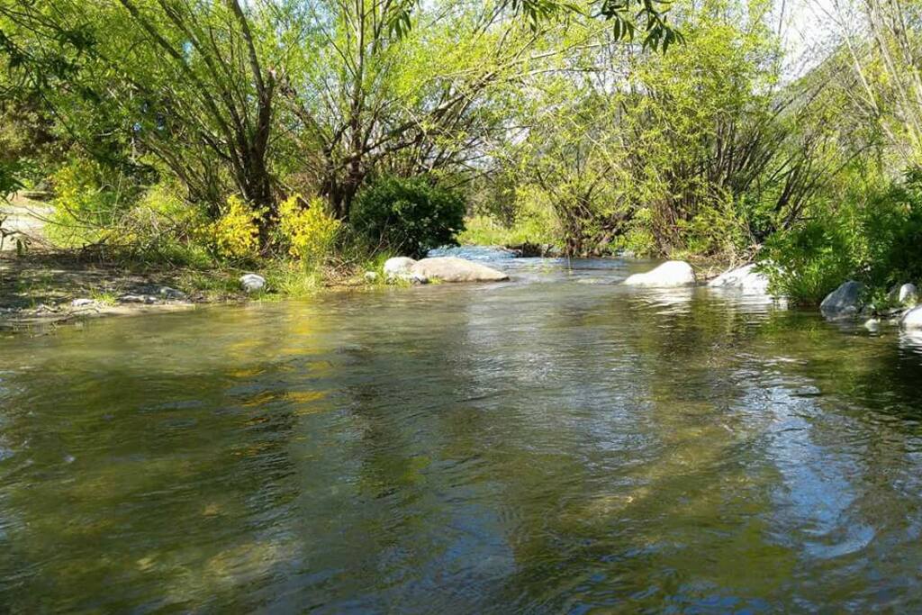 costa de río a metros de la cabaña