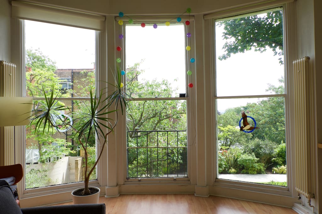 Living rooms windows, floor to ceiling