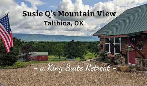 Susie Q's Mountain View